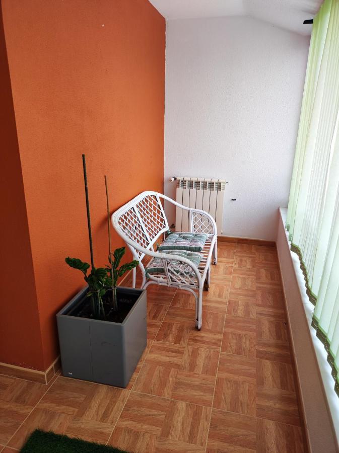 Sintra Home